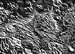 Skamielina