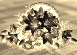 Sepia + Negatyw