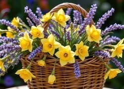 Oryginalny obrazek
