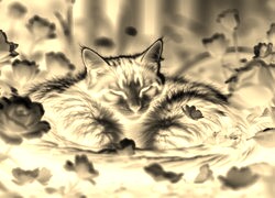 Sepia + Negatyw