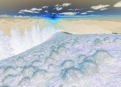 Negatyw