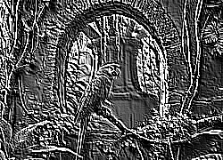 Skamielina