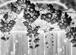 Szary + Negatyw