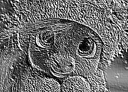 Skamielina