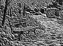 Skamielina