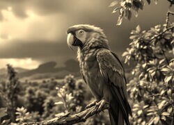Sepia