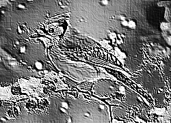 Skamielina