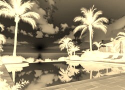 Sepia + Negatyw
