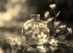 Szary + Sepia