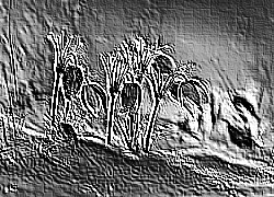 Skamielina