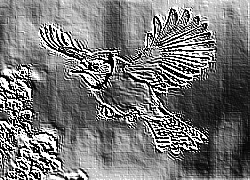 Skamielina