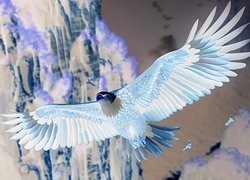 Negatyw
