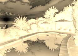 Sepia + Negatyw