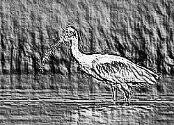 Skamielina