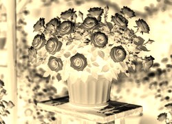 Sepia + Negatyw