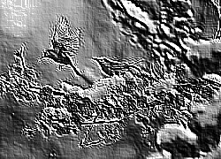Skamielina