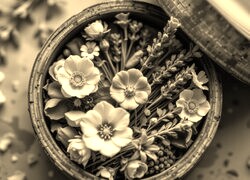 Szary + Sepia