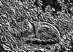 Skamielina