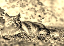 Sepia + Negatyw