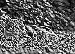 Skamielina