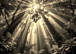 Sepia