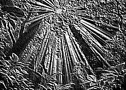 Skamielina