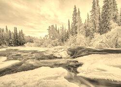 Sepia