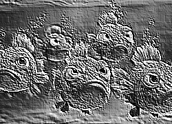 Skamielina