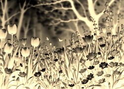 Sepia + Negatyw