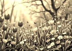 Sepia