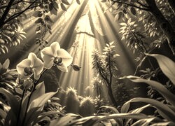 Sepia