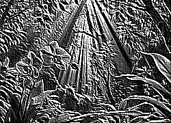 Skamielina