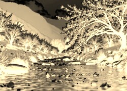 Sepia + Negatyw