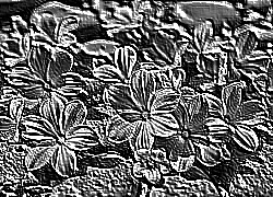 Skamielina