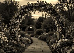 Szary + Sepia