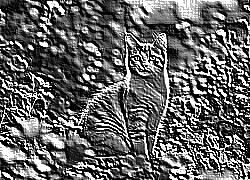 Skamielina