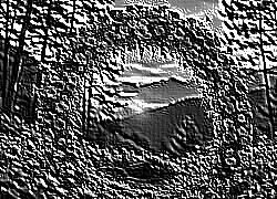 Skamielina