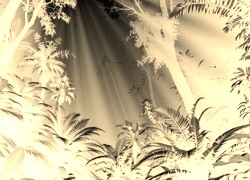 Sepia + Negatyw