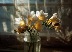 Oryginalny obrazek