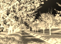 Sepia + Negatyw