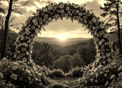 Szary + Sepia