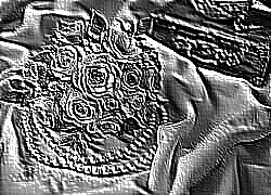 Skamielina