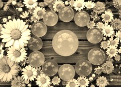Szary + Sepia