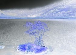 Negatyw