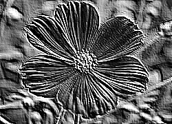 Skamielina