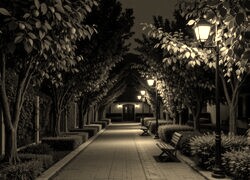 Szary + Sepia