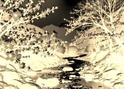 Sepia + Negatyw