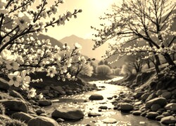 Szary + Sepia