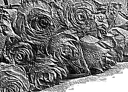 Skamielina