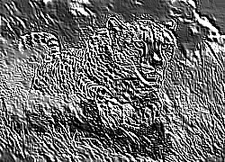 Skamielina